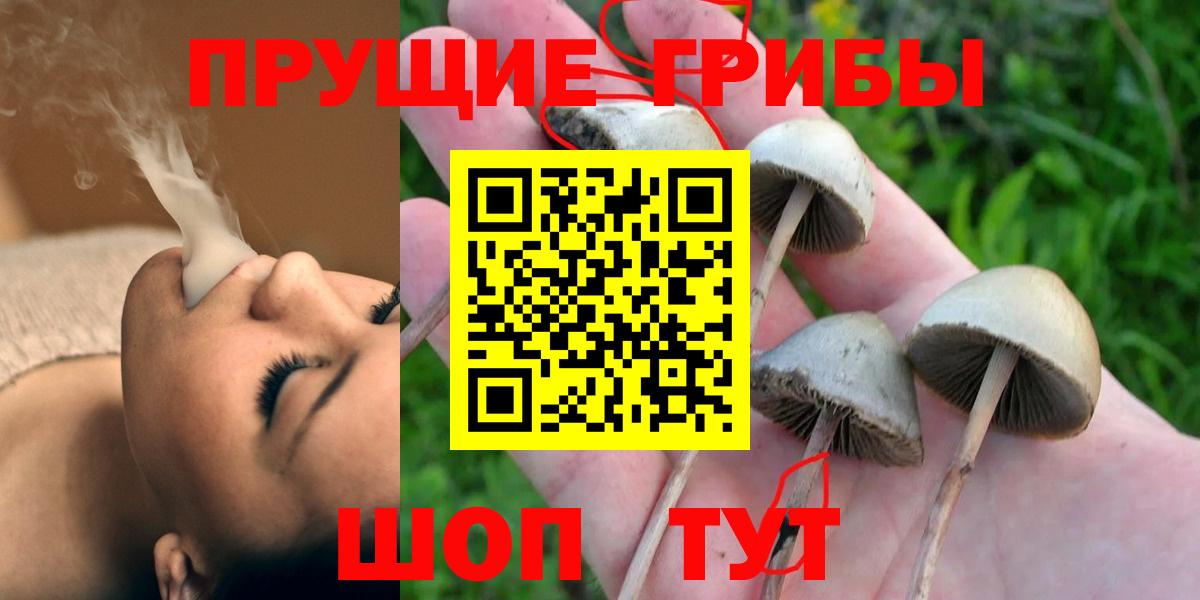Чита  Галлюциногенные грибы мицелий  Вход с VPN 