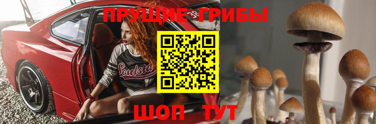 Псилоцибиновые грибы прущие грибы Чита